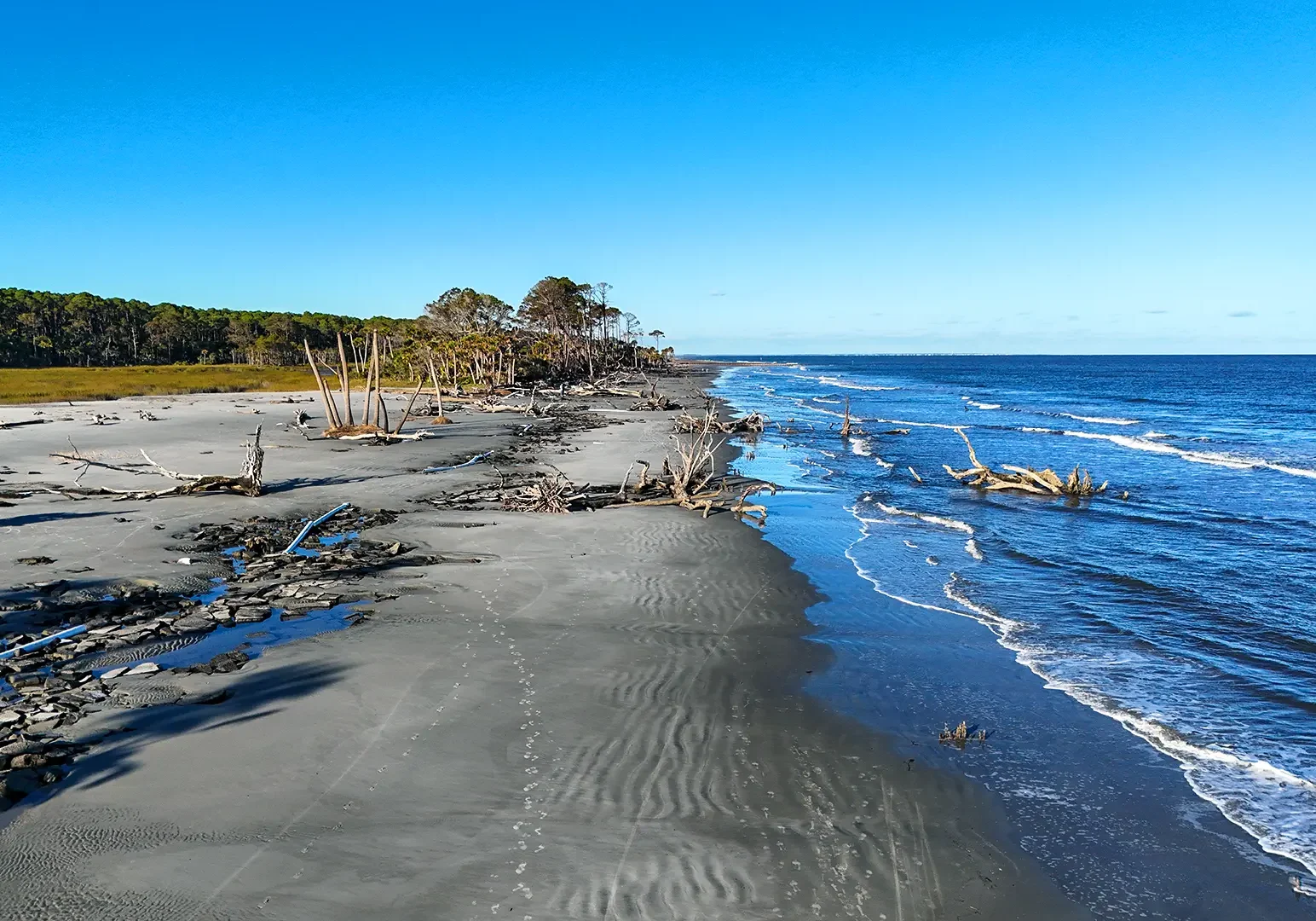 Hunting Island Stock 5