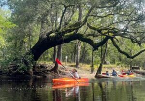 Kayak Rental on the Waccamaw River
