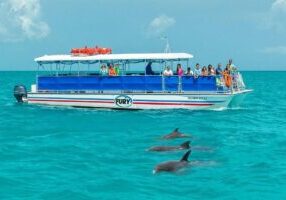 Key West Dolphin Watch and Snorkel Tour - Eco Adventure