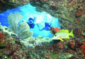 Key West Reef Snorkel – Morning Mimosas or Afternoon Margaritas