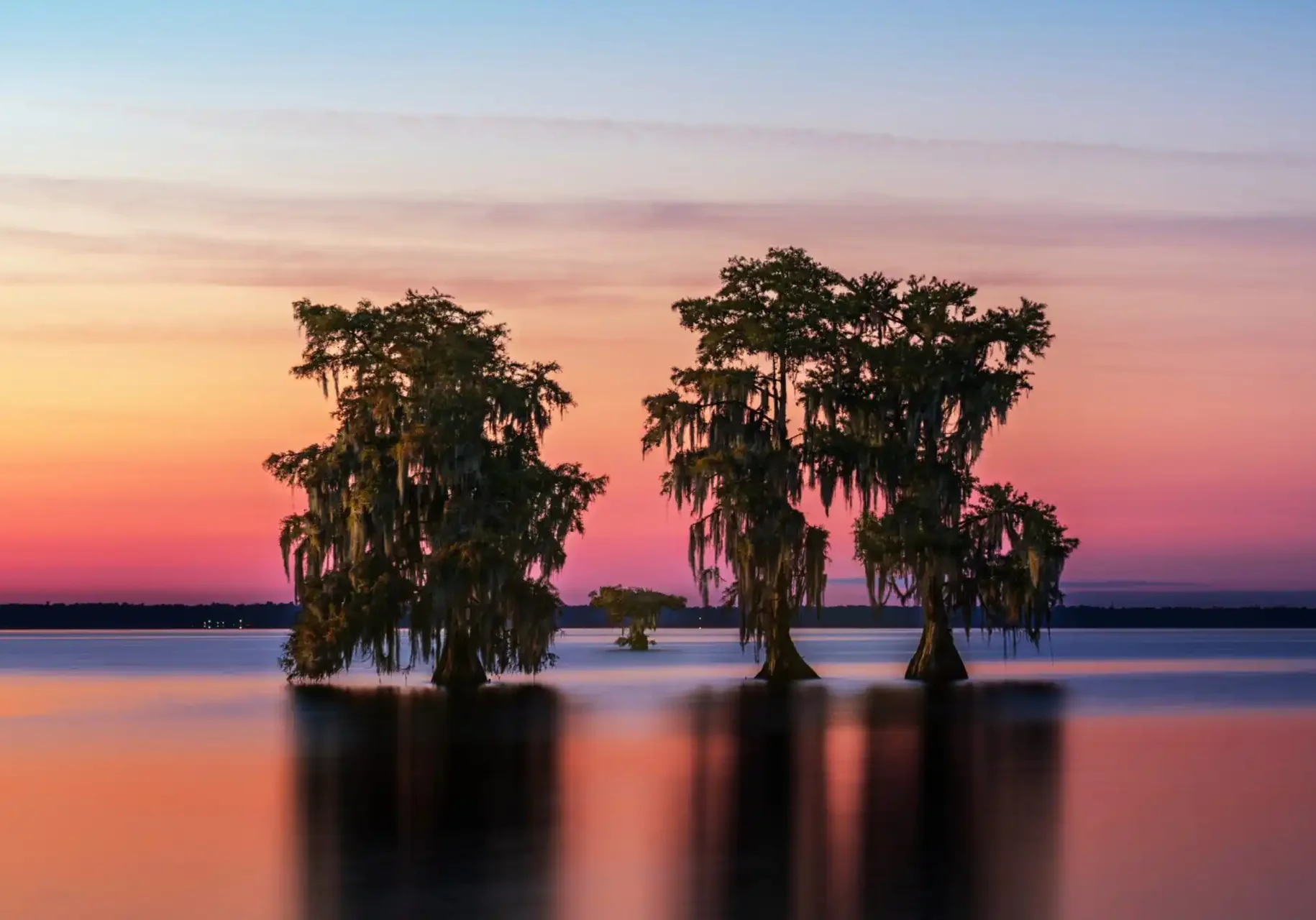 Lake Moultrie Feature Image