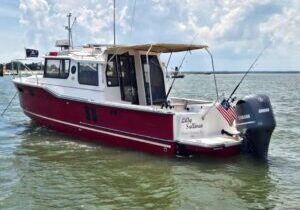 Luxury Tug Boat Harbour cruises
