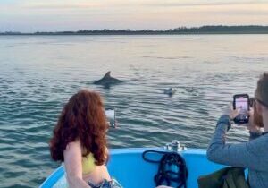 Morris Island Dolphin Cruise and Shelling Trip
