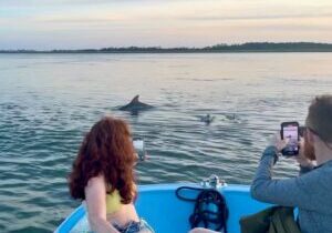 Morris Island Dolphin Cruise with Beachcombing