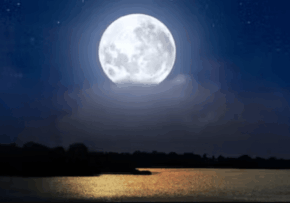 Murrells Inlet by Moonlight Legends & Lores of the Inlet