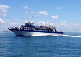 Myrtle Beach Dolphin Cruise Murrells Inlet
