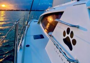 Private Charleston Harbor Catamaran Sail