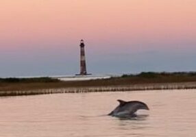Private Folly Beach Dolphin Cruise (up to 12)