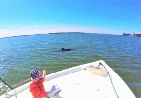 Private Hilton Head Dolphin Tour with Waterfront Dining Stop