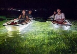 Sarasota - Clear Kayak LED Night Glass Bottom Tour