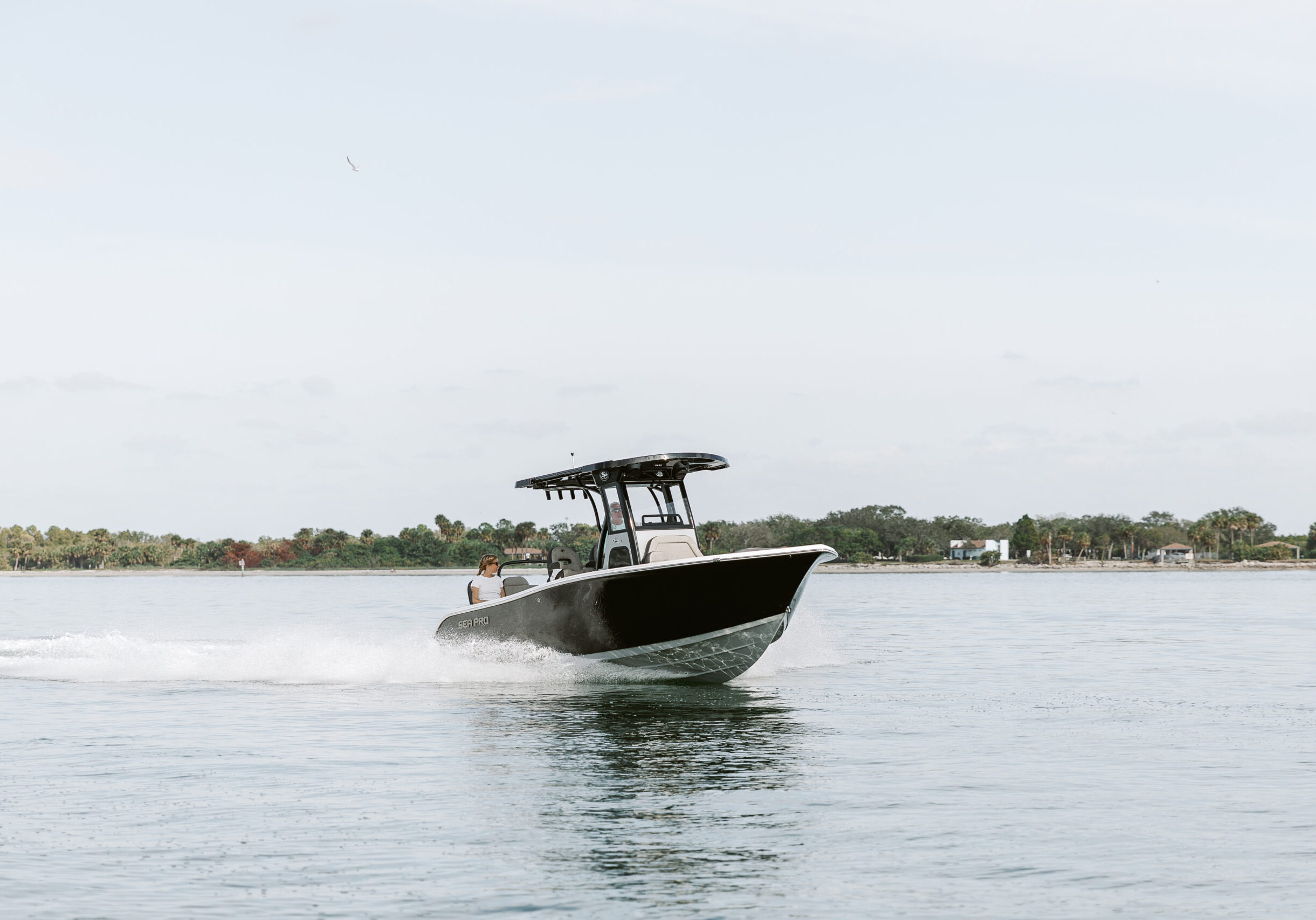 Sea Pro 245 Sandbar Feature Image Sea Pro 245 Sandbar Feature Image