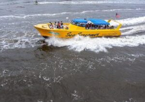 Sea Screamer Cruise - 2 Hour Dolphin Watch Tour in South Carolina