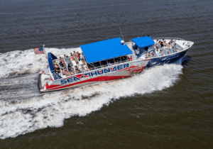 Sea Thunder Cruise-2 Hour Tour Surrounded by Dolphins in S.C