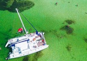 Shell Island Snorkel and Dolphin Catamaran Cruise with Island Time