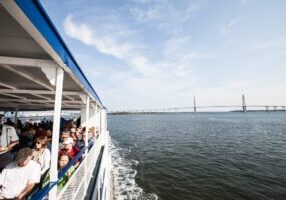 Sightseeing Harbor Tour & Dolphin Watch