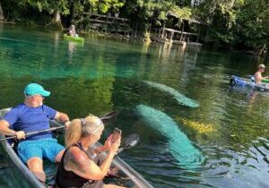 Silver Springs Clear Kayak Manatee & Monkey Adventures