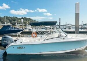 Super Clean Like New 2018 21ft Sea Hunt-211 Escape