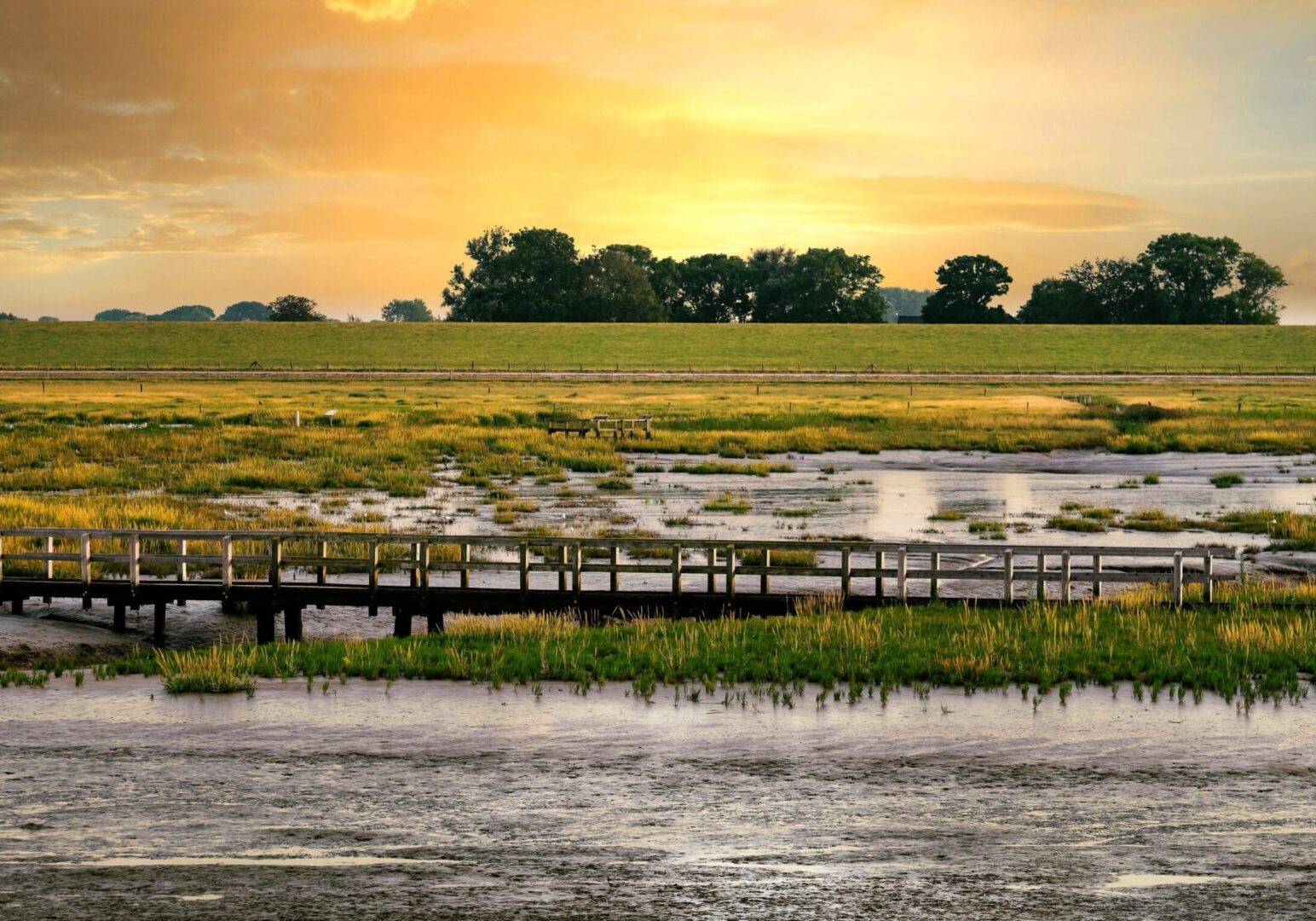 Tides and Currents Feature Image