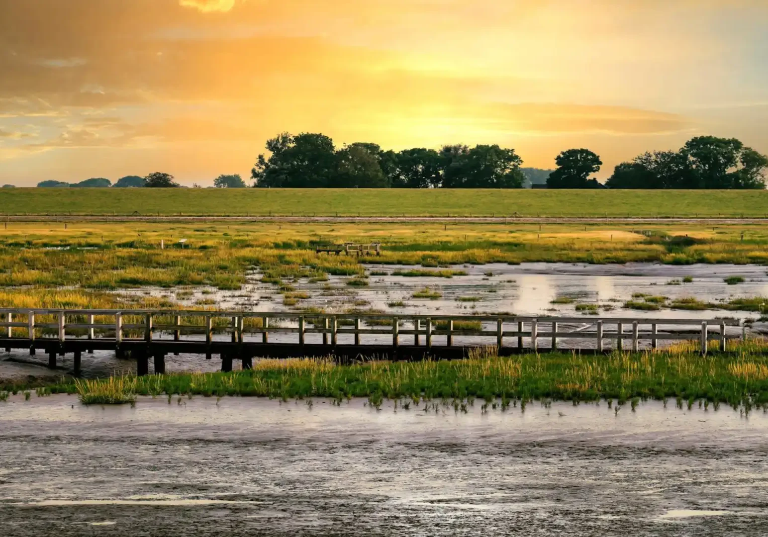 Tides and Currents Feature